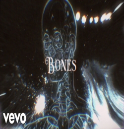 Bones