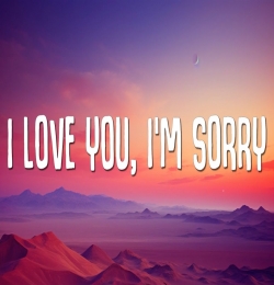 I Love You I am Sorry